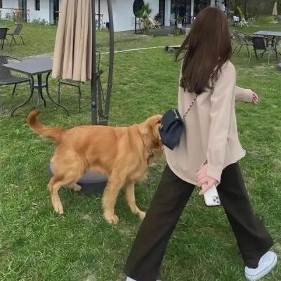 声临其境2 剧场版